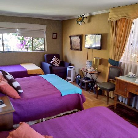 Bed & Breakfast Blumen Haus Santiago Eksteriør bilde